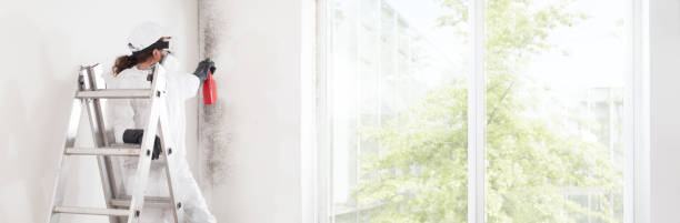 Best Forensic Mold Investigation  in Fairbanks Ranch, CA